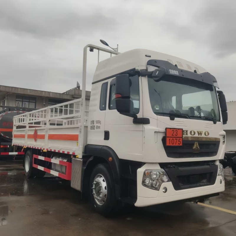 4X2 Sinotruk Howo Cylinder Transport Cargo Truck
